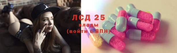 сатива Алексеевка