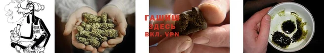 сатива Алексеевка