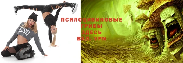 сатива Алексеевка
